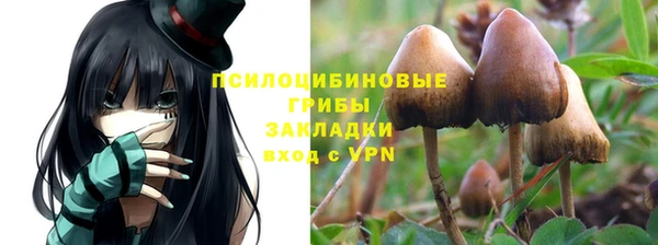 дживик Алексин
