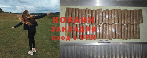 гашик Алзамай