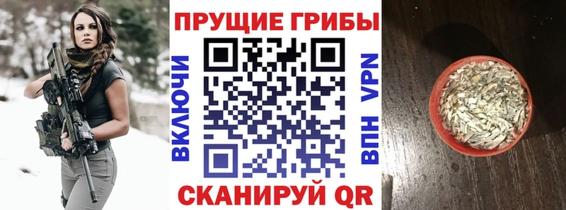 магазин продажи   Нелидово  Галлюциногенные грибы мицелий 